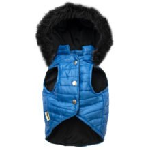 Alaska-azul-frente-piel-negra