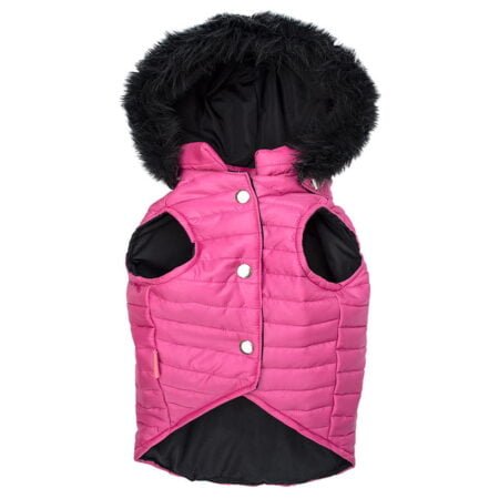 Alaska fucsia