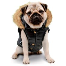 Alaska-negro-frente-mod-piel-rubia