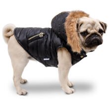 Alaska-negro-perfil-mod-piel-rubia