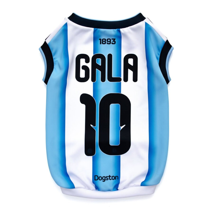 Camiseta Argentina