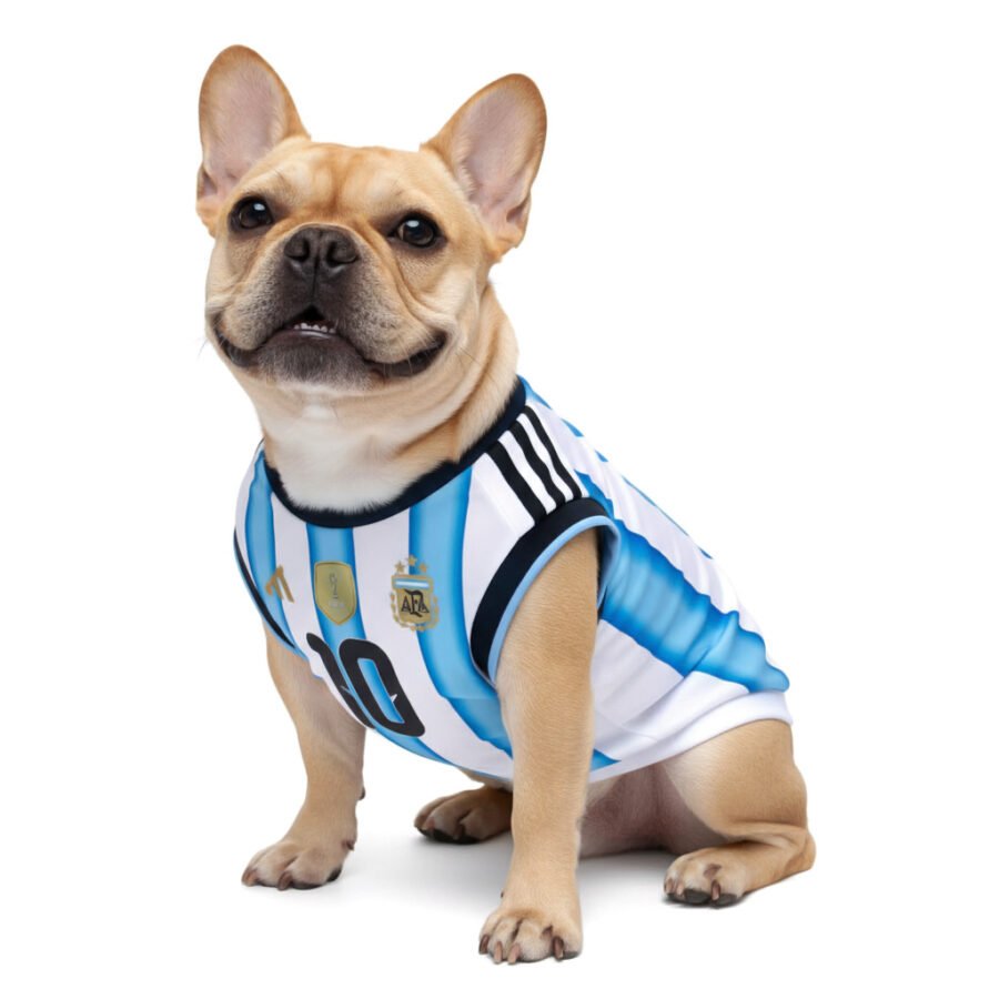 Camiseta Argentina