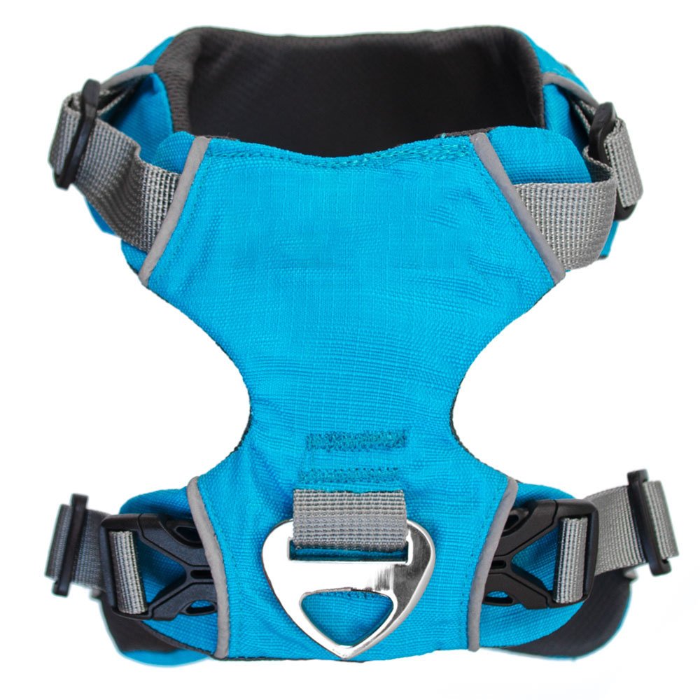 Arnes-frontback-celeste-senital