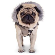 Chaleco-Camuflado-frente-mod