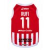 Camiseta Estudiantes de la Plata