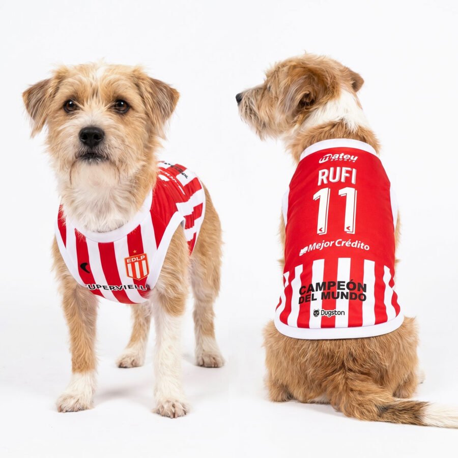 Camiseta Estudiantes de la Plata