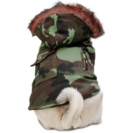 Jungle Soldier