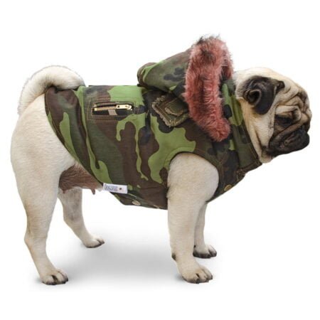 Jungle Soldier