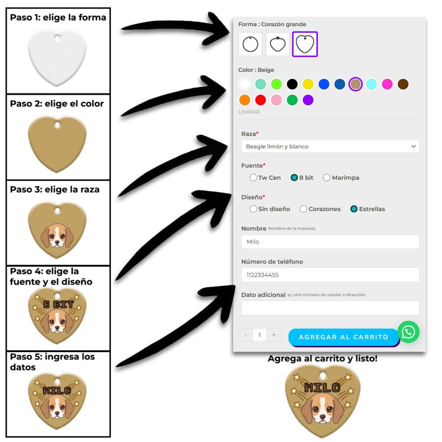 Paso-a-paso Chapita Cat Avatar