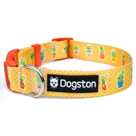 Collar Cactus Kawaii