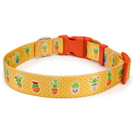 Collar Cactus Kawaii