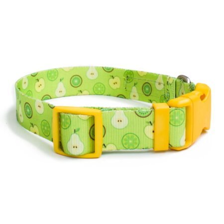 Collar Green Fruits