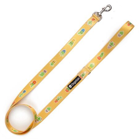 Correa Cactus Kawaii