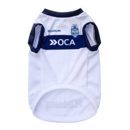 Camiseta Gimnasia y Esgrima La Plata