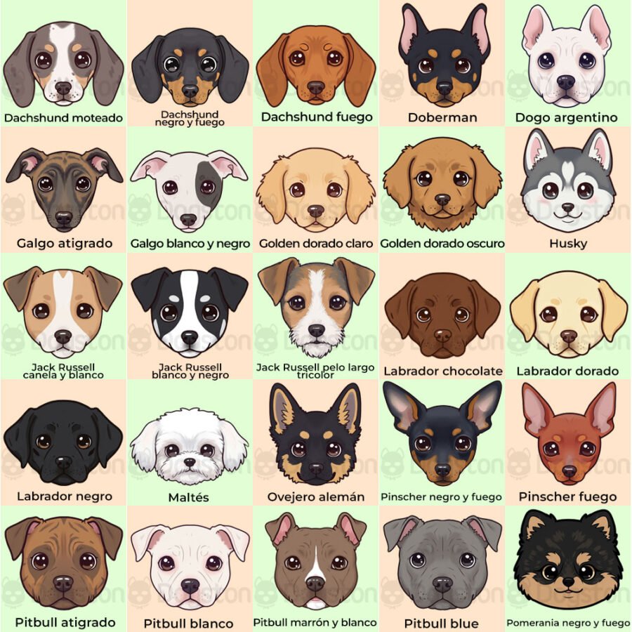 razas-2 Chapita Dog Avatar