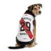 river- 26-27 - model-espalda Camiseta River Plate