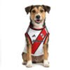 river-26-27-modelo-frente Camiseta River Plate