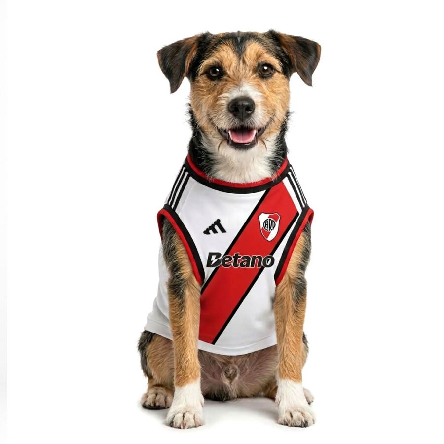 river-26-27-modelo-frente Camiseta River Plate