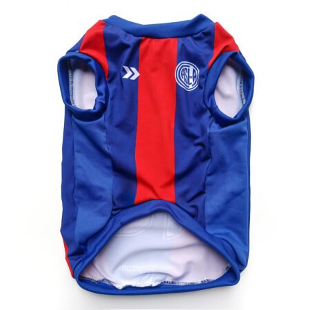 Camiseta San Lorenzo