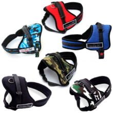 senior-arnes-6-colores