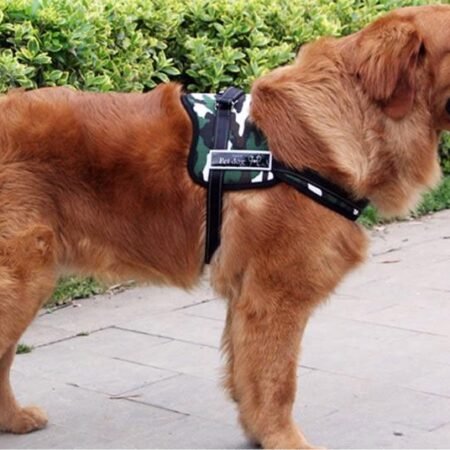 senior-arnes-camuflado-verde-labrador